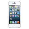 Apple iPhone 5 16Gb white - Волхов