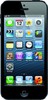 Apple iPhone 5 16GB - Волхов